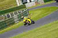 Middle Group Yellow Bikes